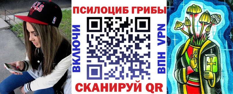 наркотики  Горнозаводск  Галлюциногенные грибы Cubensis 